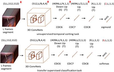 Convolutional-de-convolutional neural networks for recognition of surgical workflow